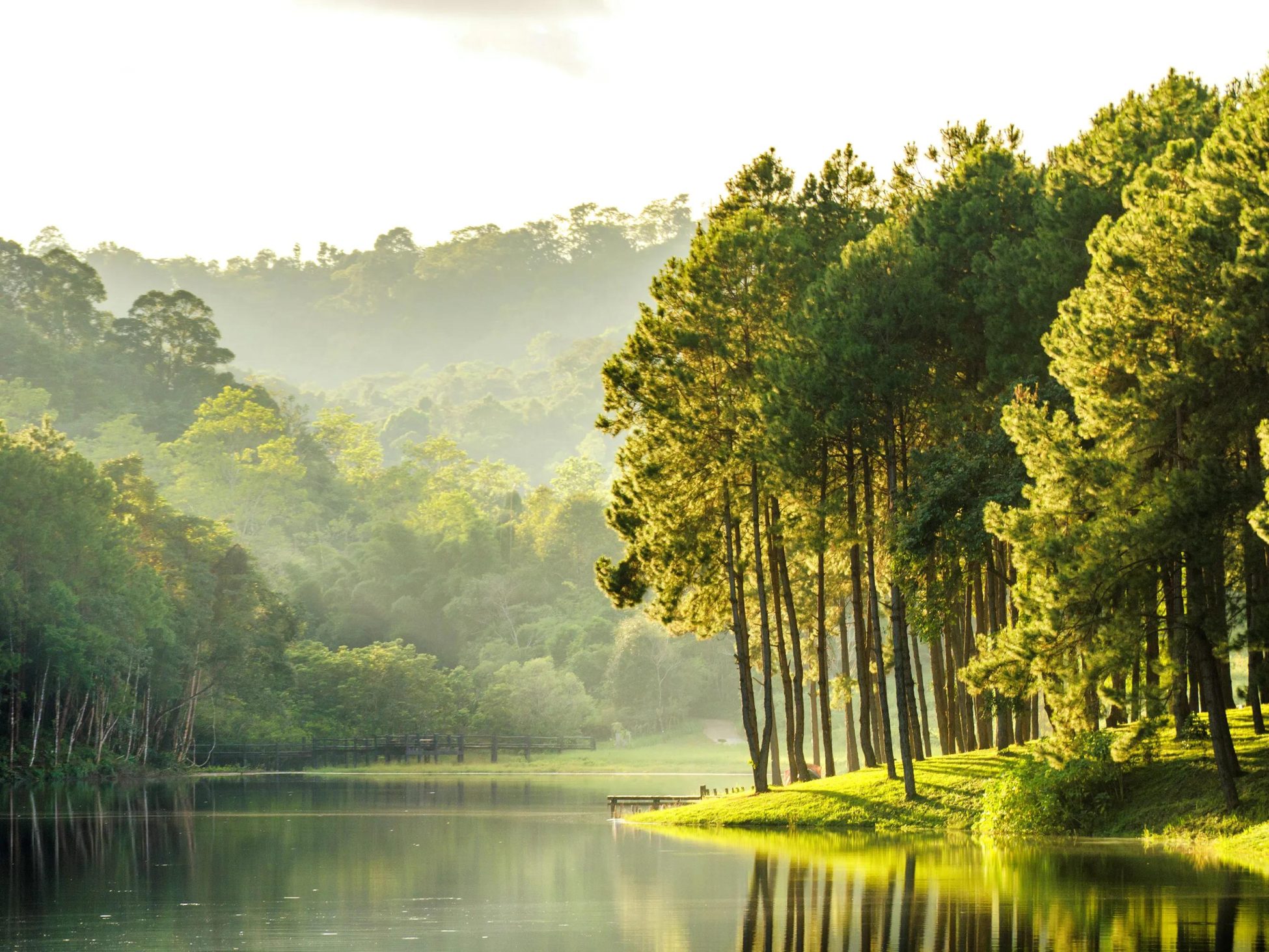 The Connection Between Stress and Diarrhea: Insights and Solutions